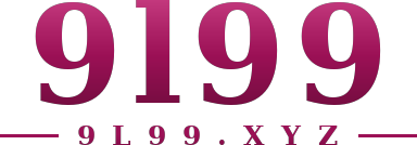 9l99 logo